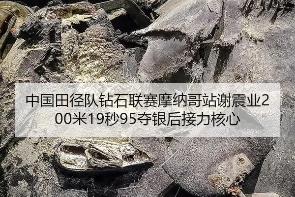 zhong-guo-tian-jing-dui-zuan-shi-lian-sai-mo-na-ge-zhan-xie-zhen-ye-mi-miao-duo-yin-hou-jie-li-he-xin-2-435.jpg